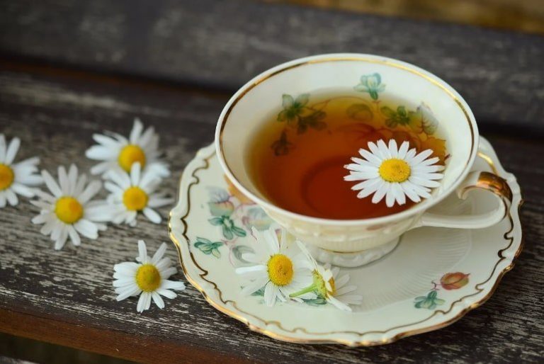 Can drinking tea improve cognitive function and help prevent cognitive decline?  – Neuroscience News