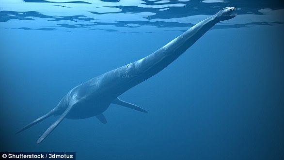 Plesiosaurs used two pairs of nearly identical fins to propel themselves through water (artist's impression pictured)