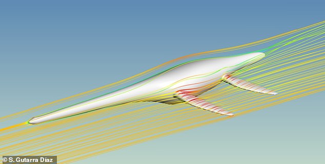 Computer simulation of flow on the 3D model of an elasmosaur (elasmosaurs had the longest neck of the plesiosaurs)