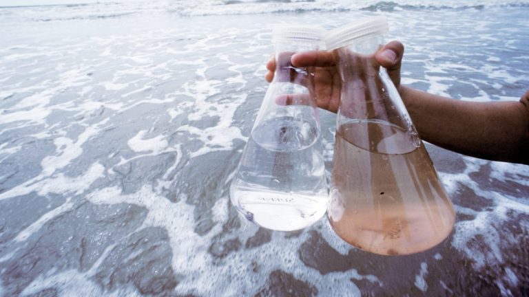 MIT engineers have created a portable device that zaps seawater to produce drinking water