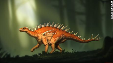 Dinosaur Fossil Discovery May Be Oldest Stegosaurus Ever Discovered