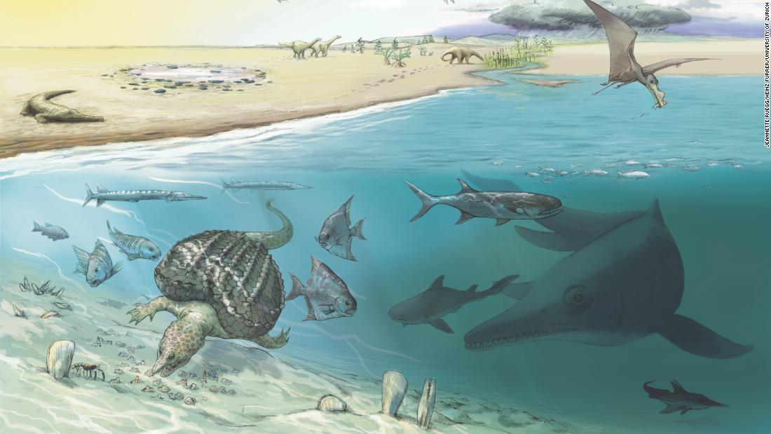 'Fish Lizard' Fossils Found In The Swiss Alps Belonged To Some Of The Largest Creatures That Ever Lived