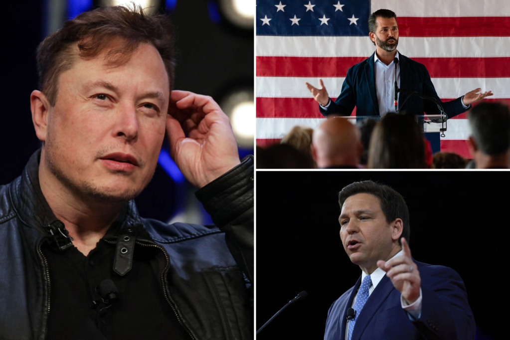 Conservatives question huge spikes in Twitter followers after Elon Musk takeover