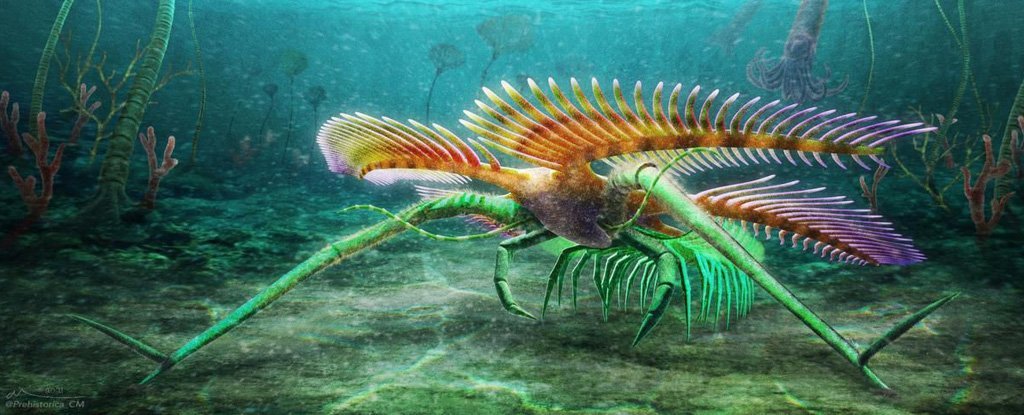 This strange aquatic arthropod had no eyes and used "stilts" to get around